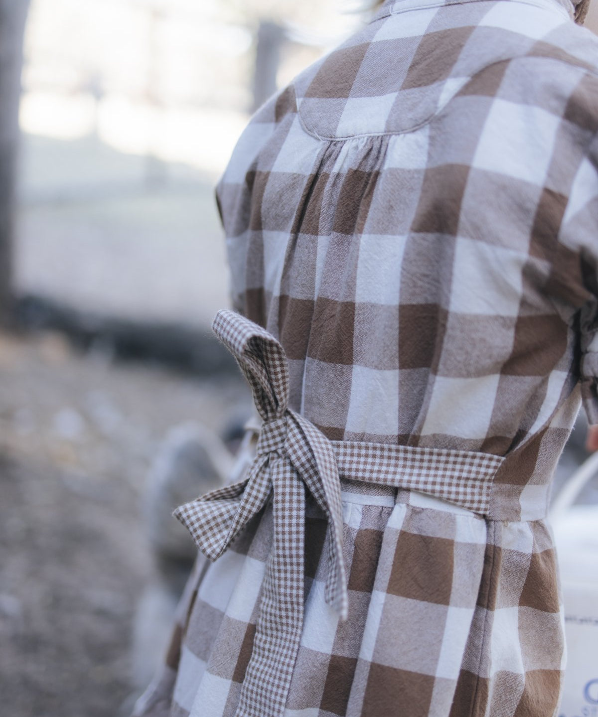 Gingham dress waist tie and back detail