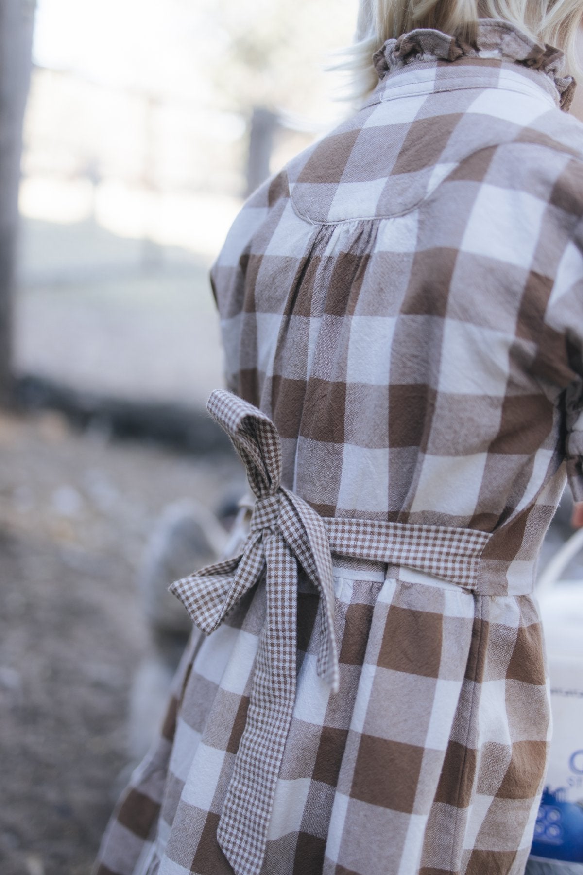 Gingham dress waist tie and back detail