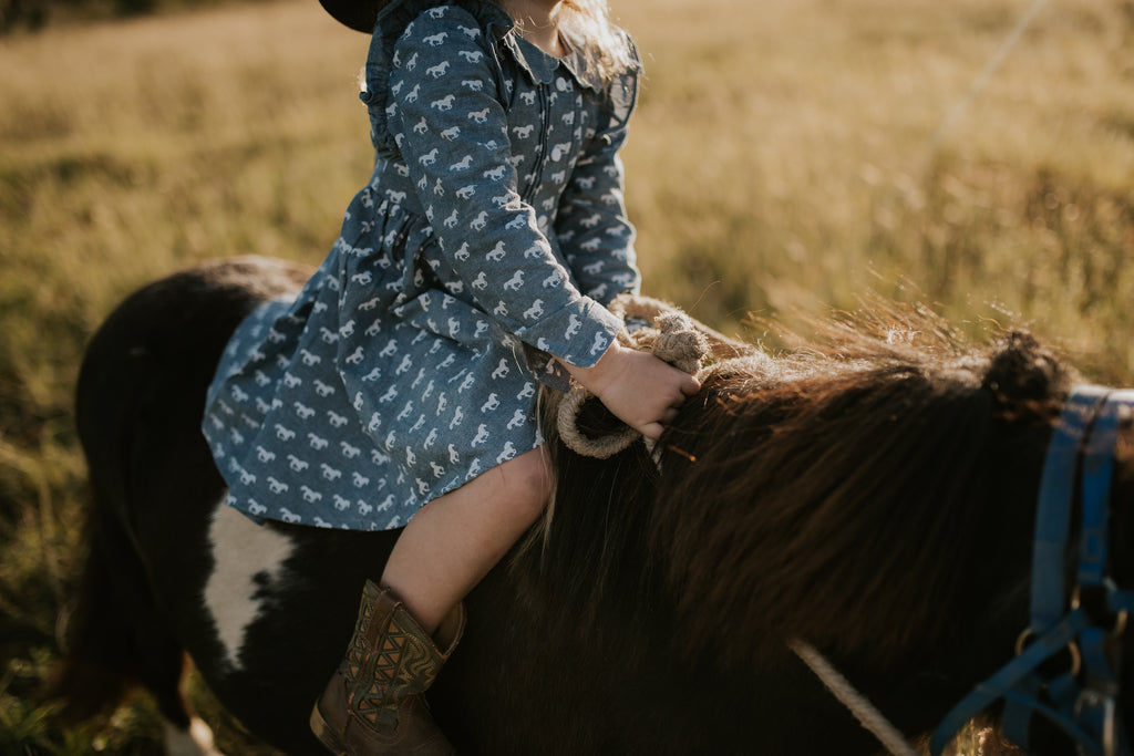 "Josephine" Horse Print Denim Look Dress-Little Windmill Clothing Co