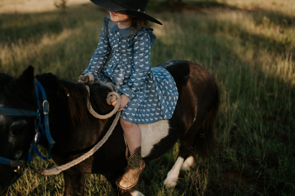 "Josephine" Horse Print Denim Look Dress-Little Windmill Clothing Co