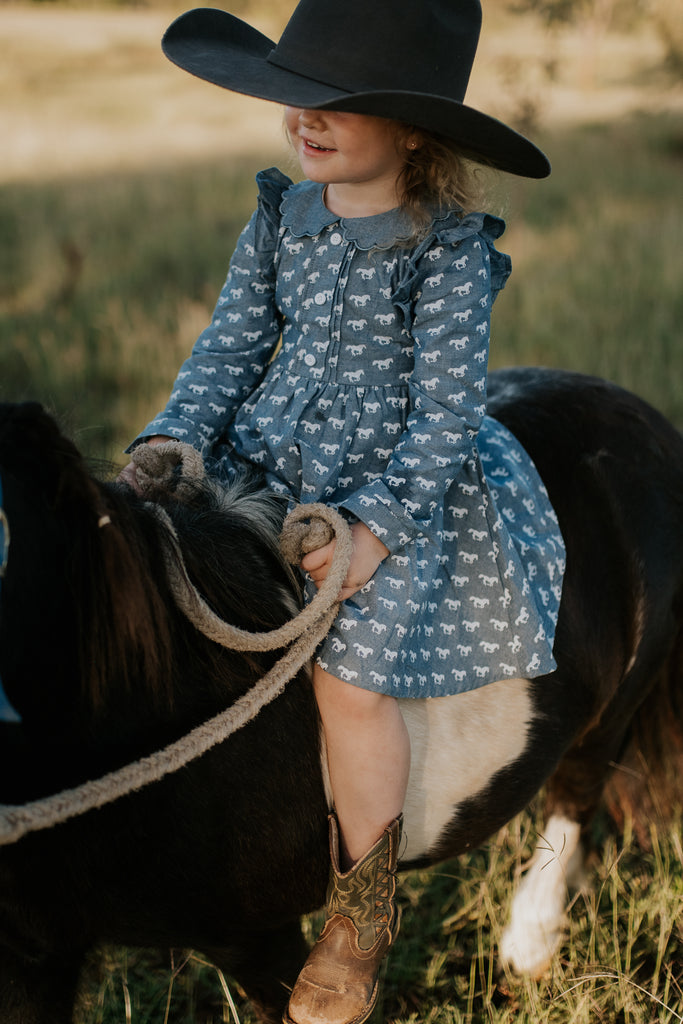 "Josephine" Horse Print Denim Look Dress-Little Windmill Clothing Co