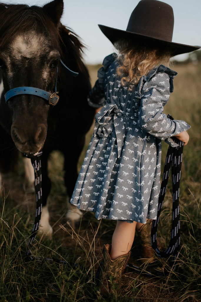 "Josephine" Horse Print Denim Look Dress-Little Windmill Clothing Co