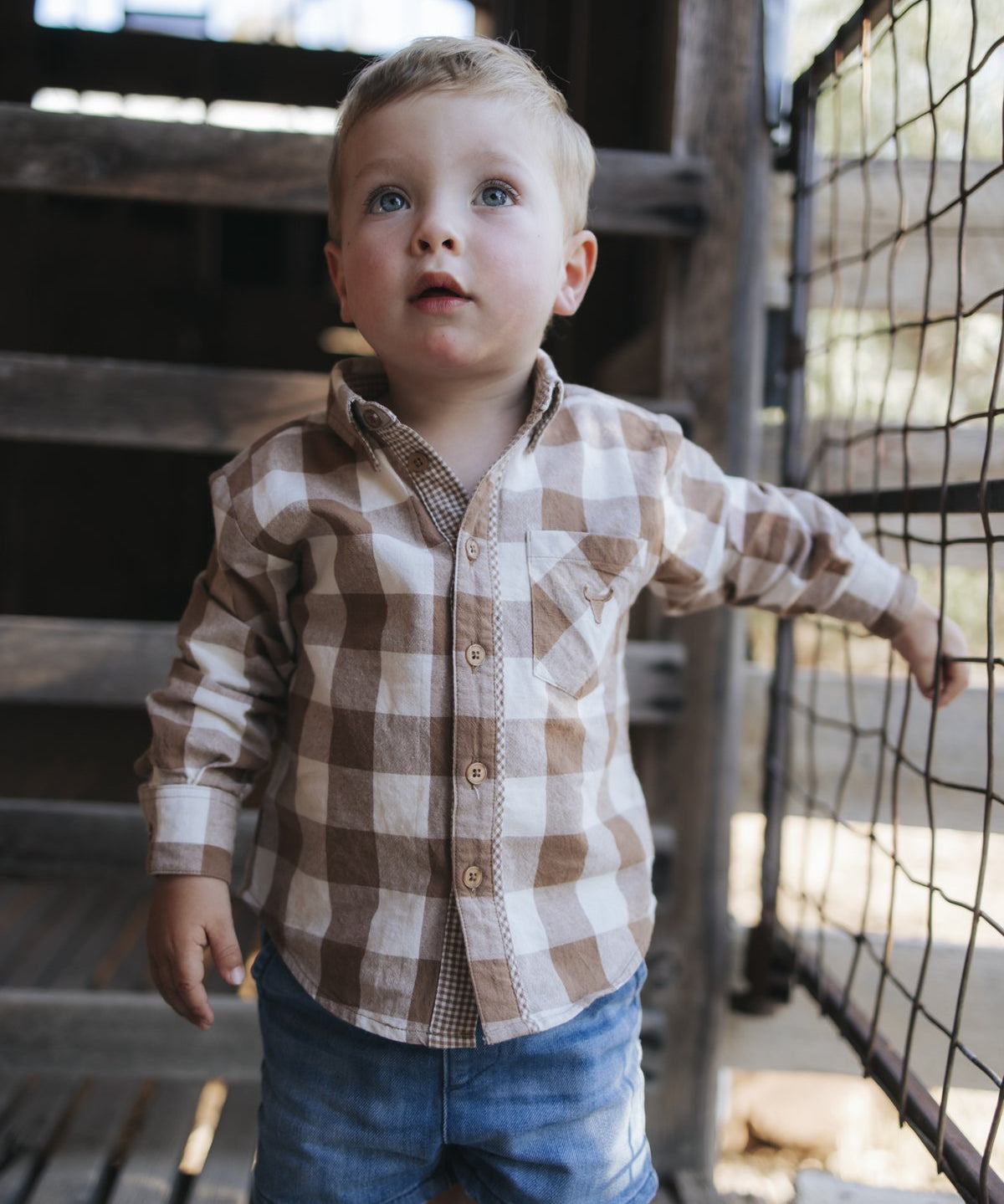 Toddler in brown gingham shirt