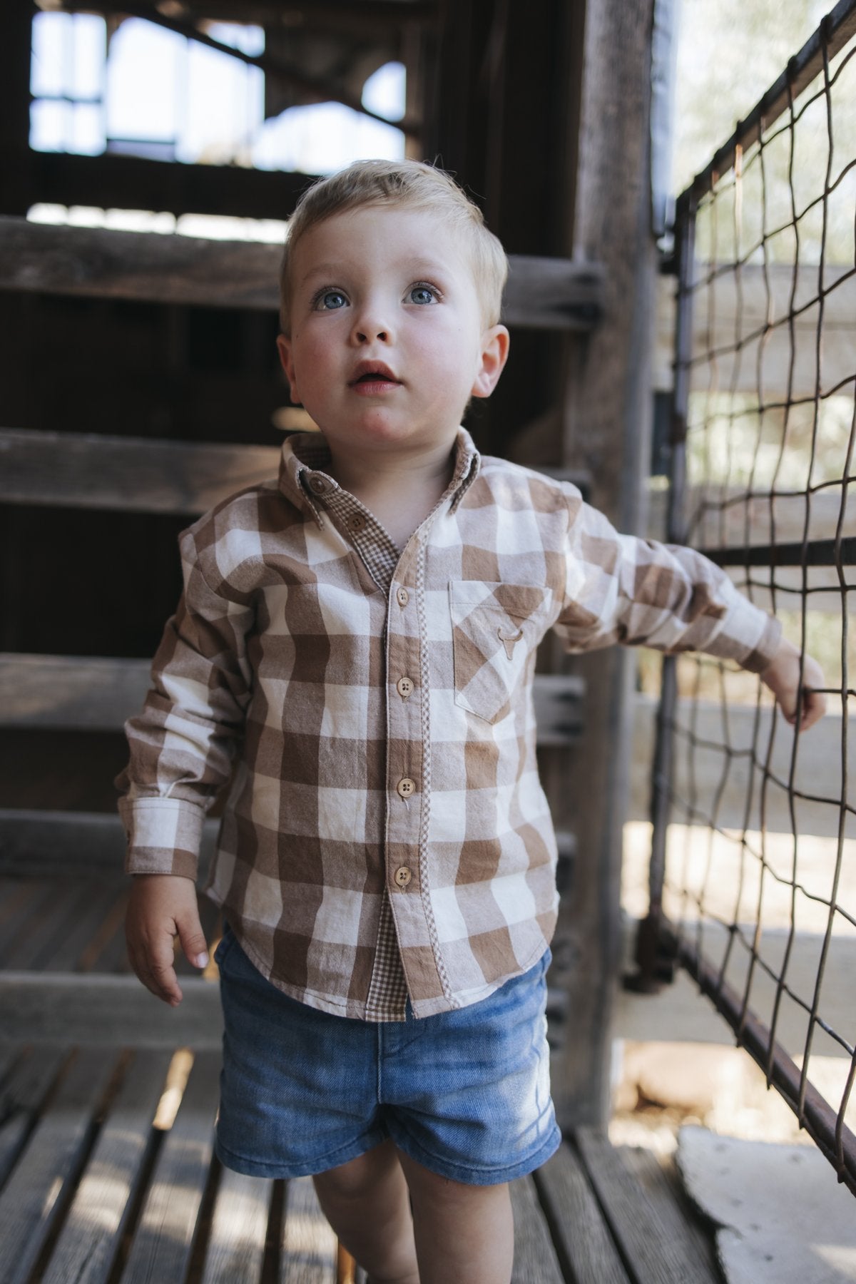 Toddler in brown gingham shirt