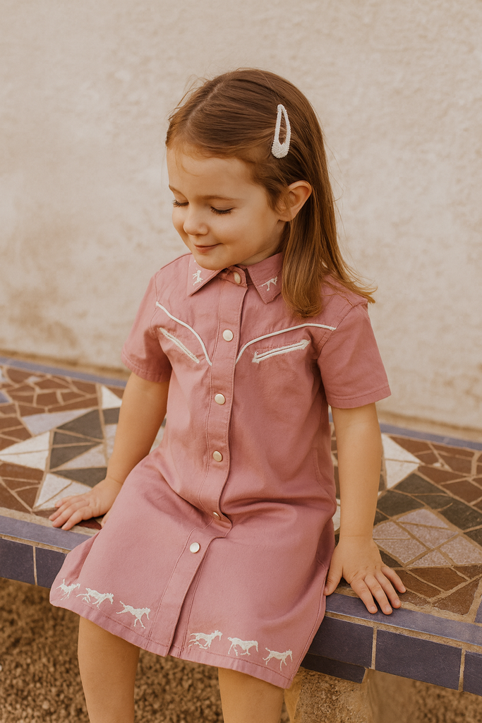 "Arizona " Western Blush Pink Dress-Little Windmill Clothing Co