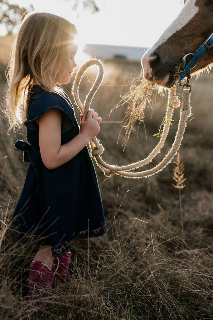 "Dekota" Dark Horse Denim Dress-Little Windmill Clothing Co