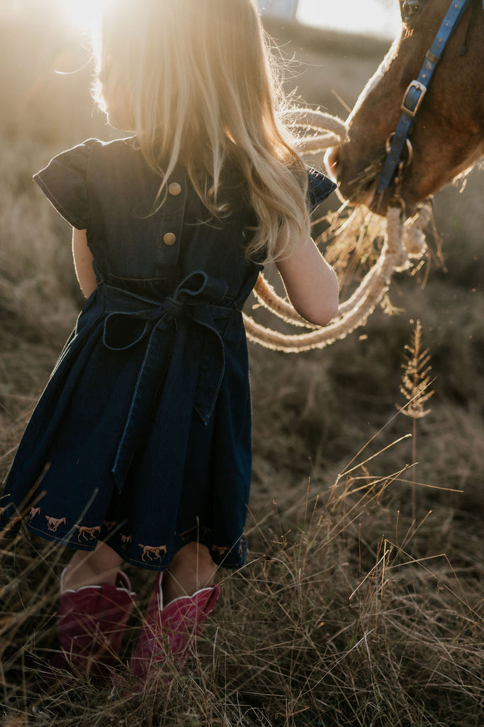 "Dekota" Dark Horse Denim Dress-Little Windmill Clothing Co