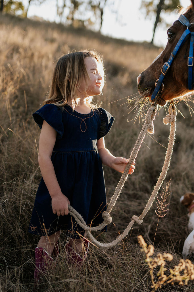"Dekota" Dark Horse Denim Dress-Little Windmill Clothing Co