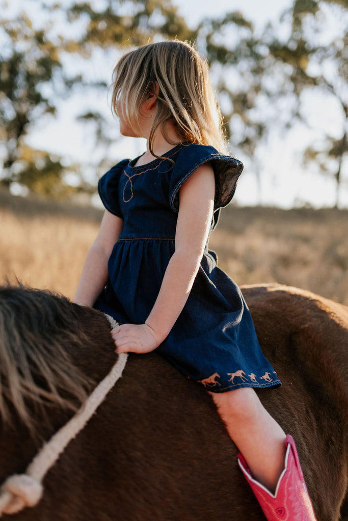 "Dekota" Dark Horse Denim Dress-Little Windmill Clothing Co