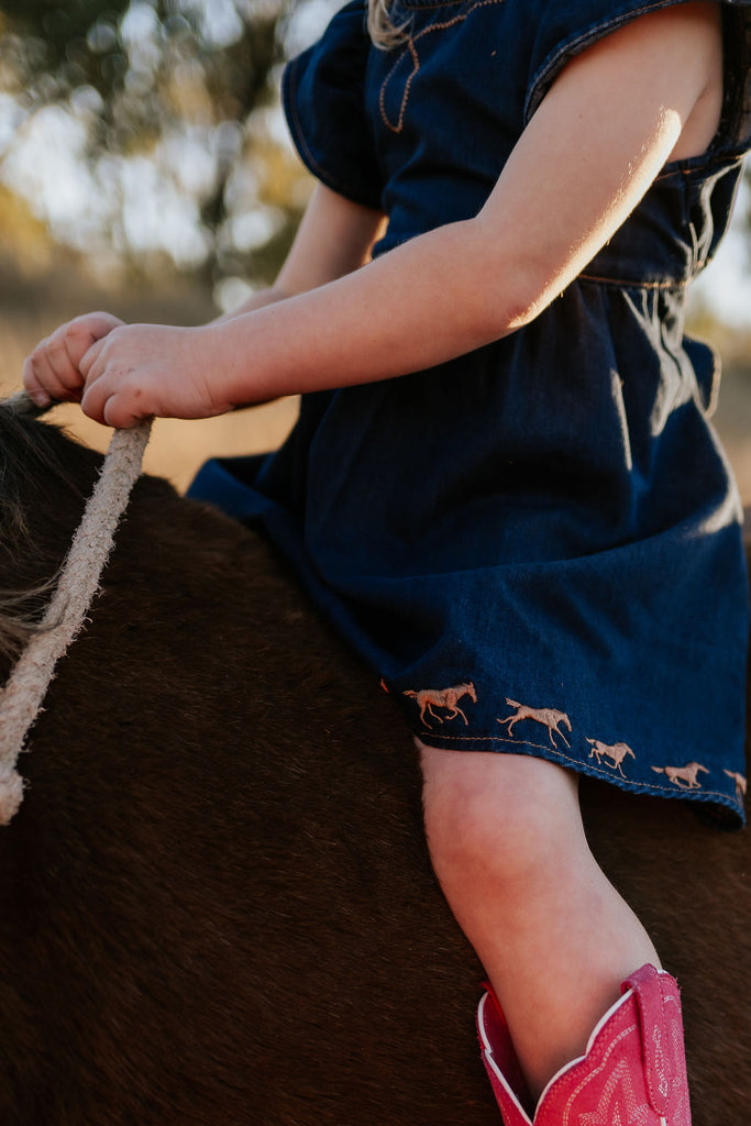 "Dekota" Dark Horse Denim Dress-Little Windmill Clothing Co