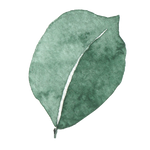 Gift Wrapping Service – Little Windmill-Little Windmill Clothing Co