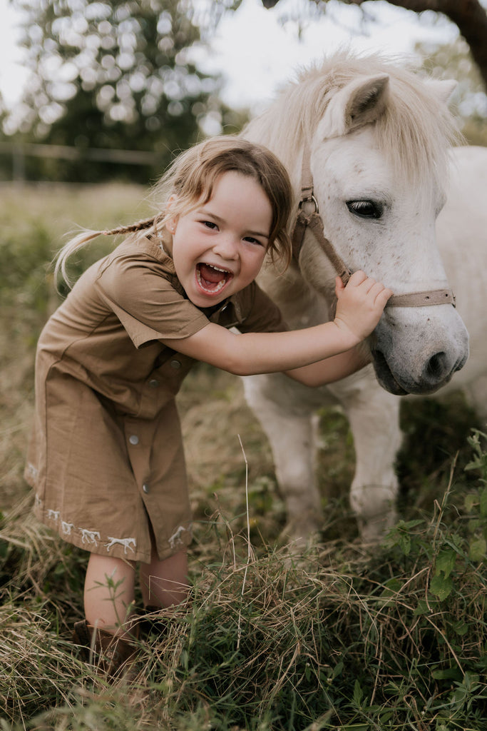 "Cheyenne" Western Mocha Dress-Little Windmill Clothing Co