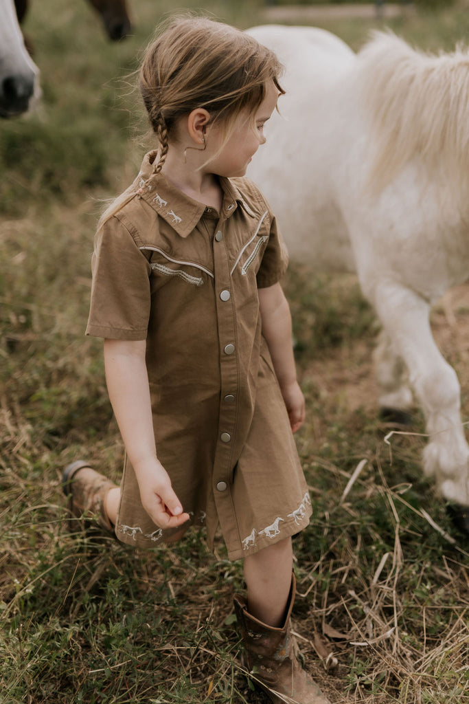"Cheyenne" Western Mocha Dress-Little Windmill Clothing Co