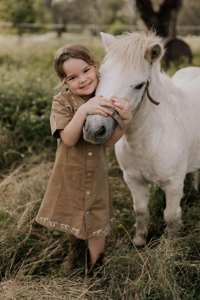 "Cheyenne" Western Mocha Dress-Little Windmill Clothing Co