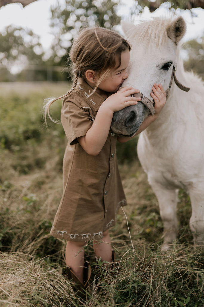 "Cheyenne" Western Mocha Dress-Little Windmill Clothing Co