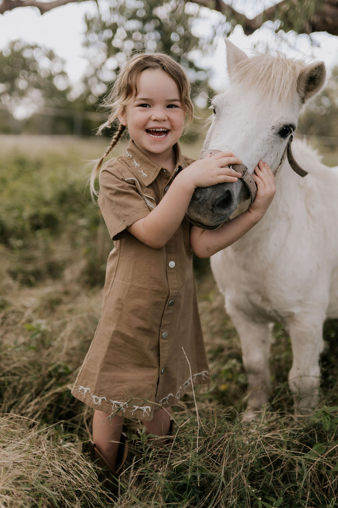 "Cheyenne" Western Mocha Dress-Little Windmill Clothing Co