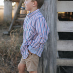 Ralph multi stripe blue long sleeve shirt front view showing classic multi-stripe blue men's shirt
