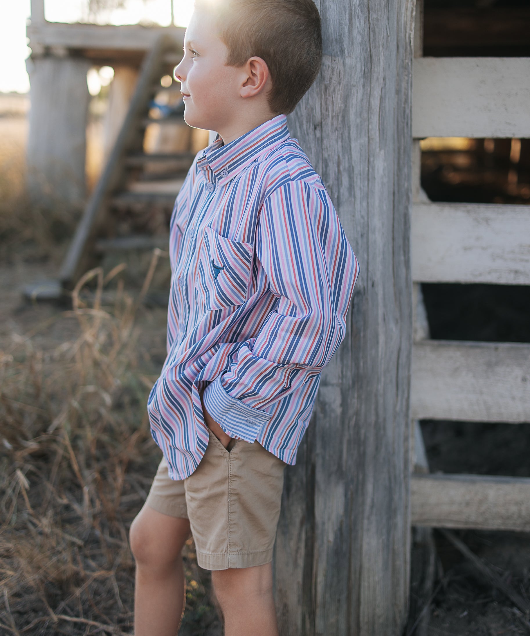 Ralph multi stripe blue long sleeve shirt front view showing classic multi-stripe blue men's shirt