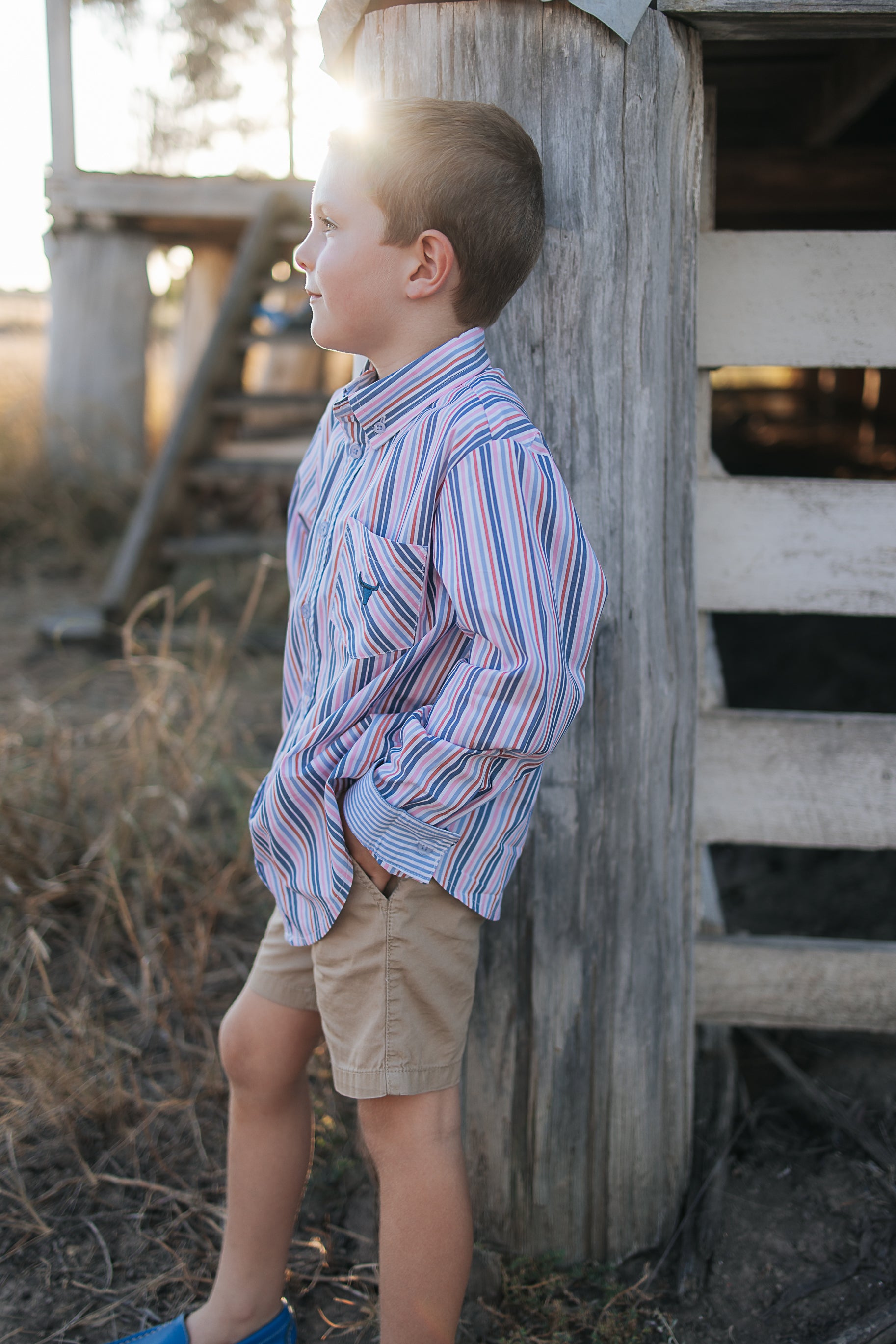 Ralph multi stripe blue long sleeve shirt front view showing classic multi-stripe blue men's shirt