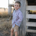 Ralph multi stripe blue long sleeve shirt back view showing relaxed men's fit in blue stripe