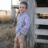 Ralph multi stripe blue long sleeve shirt back view showing relaxed men's fit in blue stripe