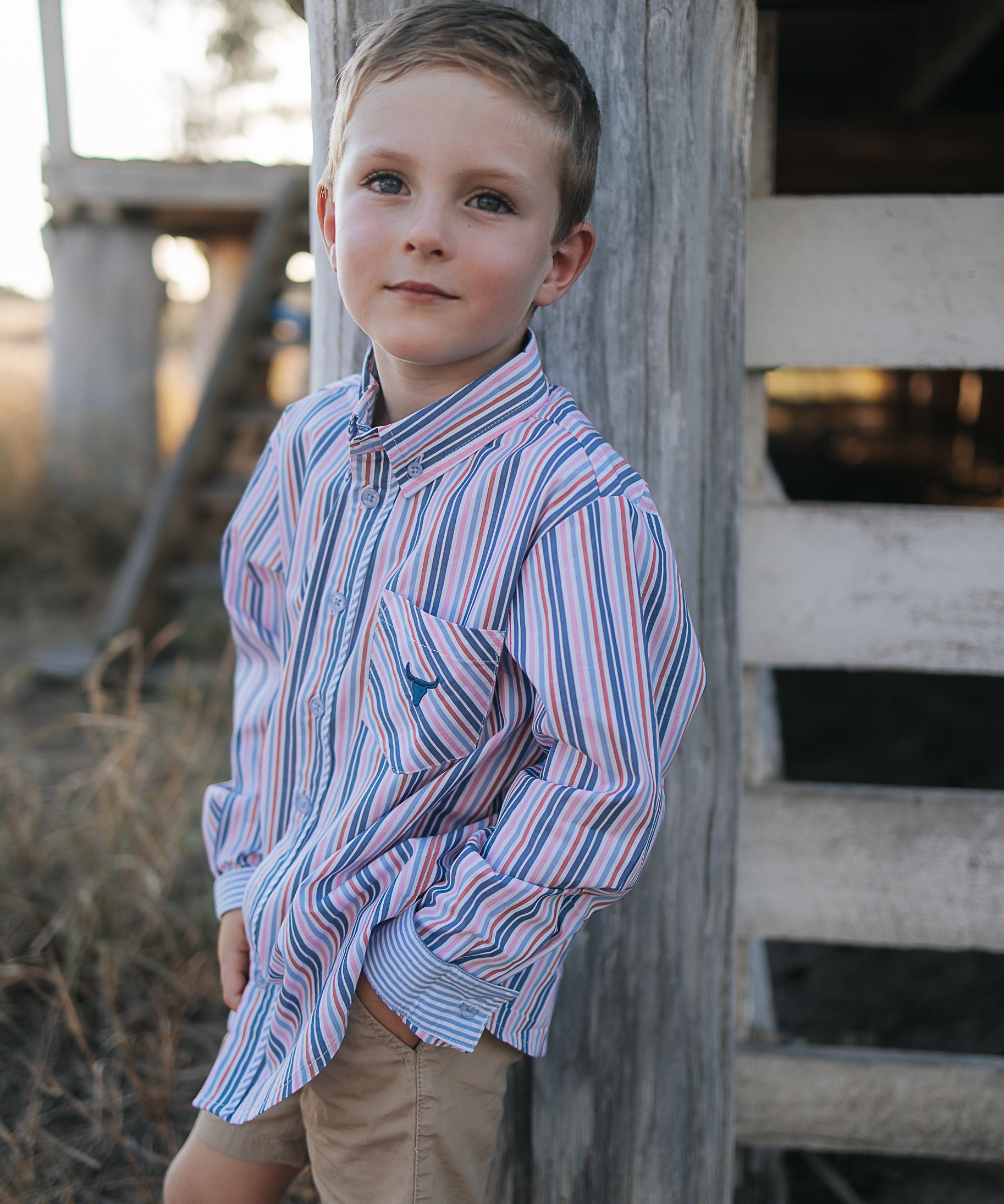 Ralph multi stripe blue long sleeve shirt worn showing smart country casual multi-stripe style