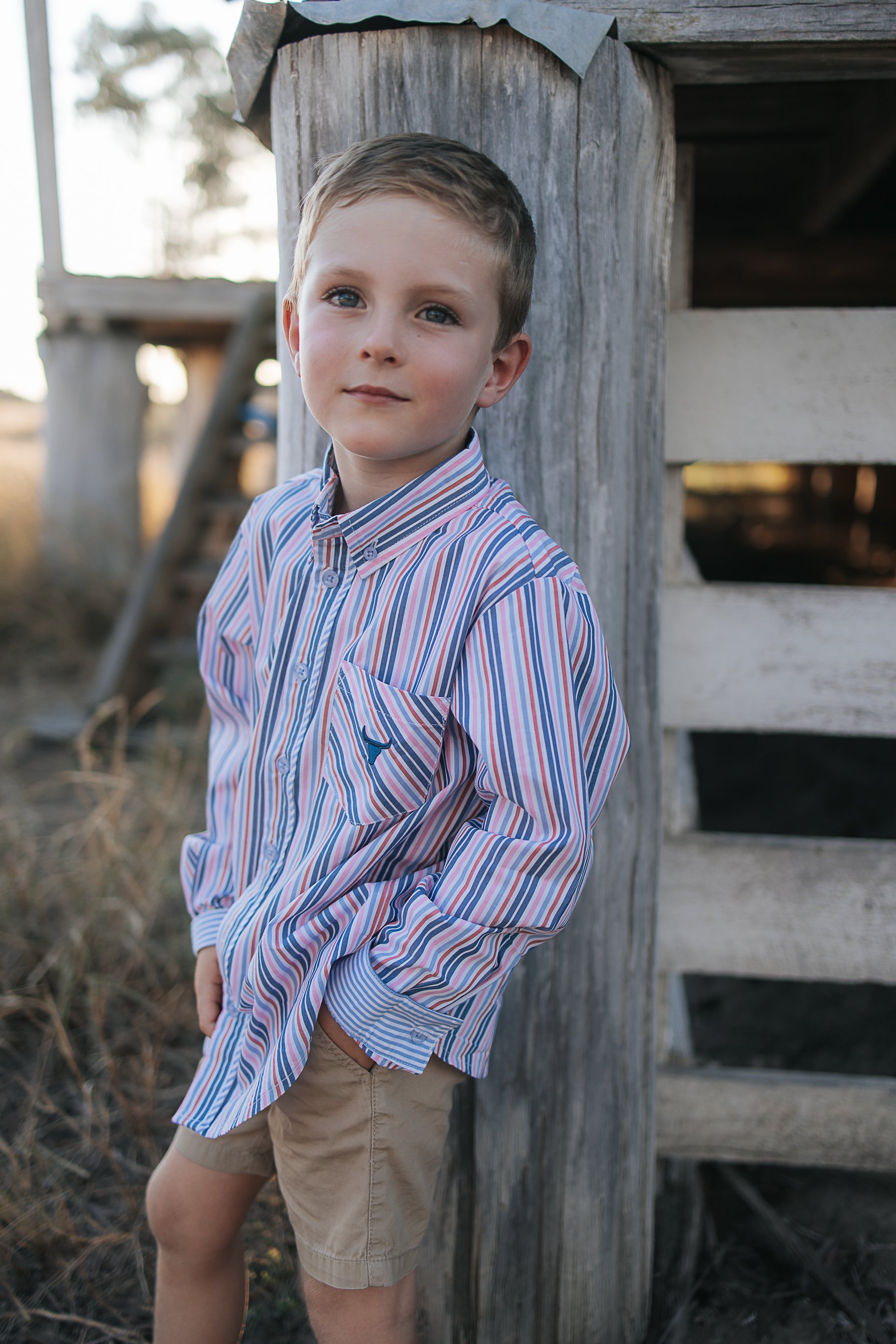 Ralph multi stripe blue long sleeve shirt worn showing smart country casual multi-stripe style