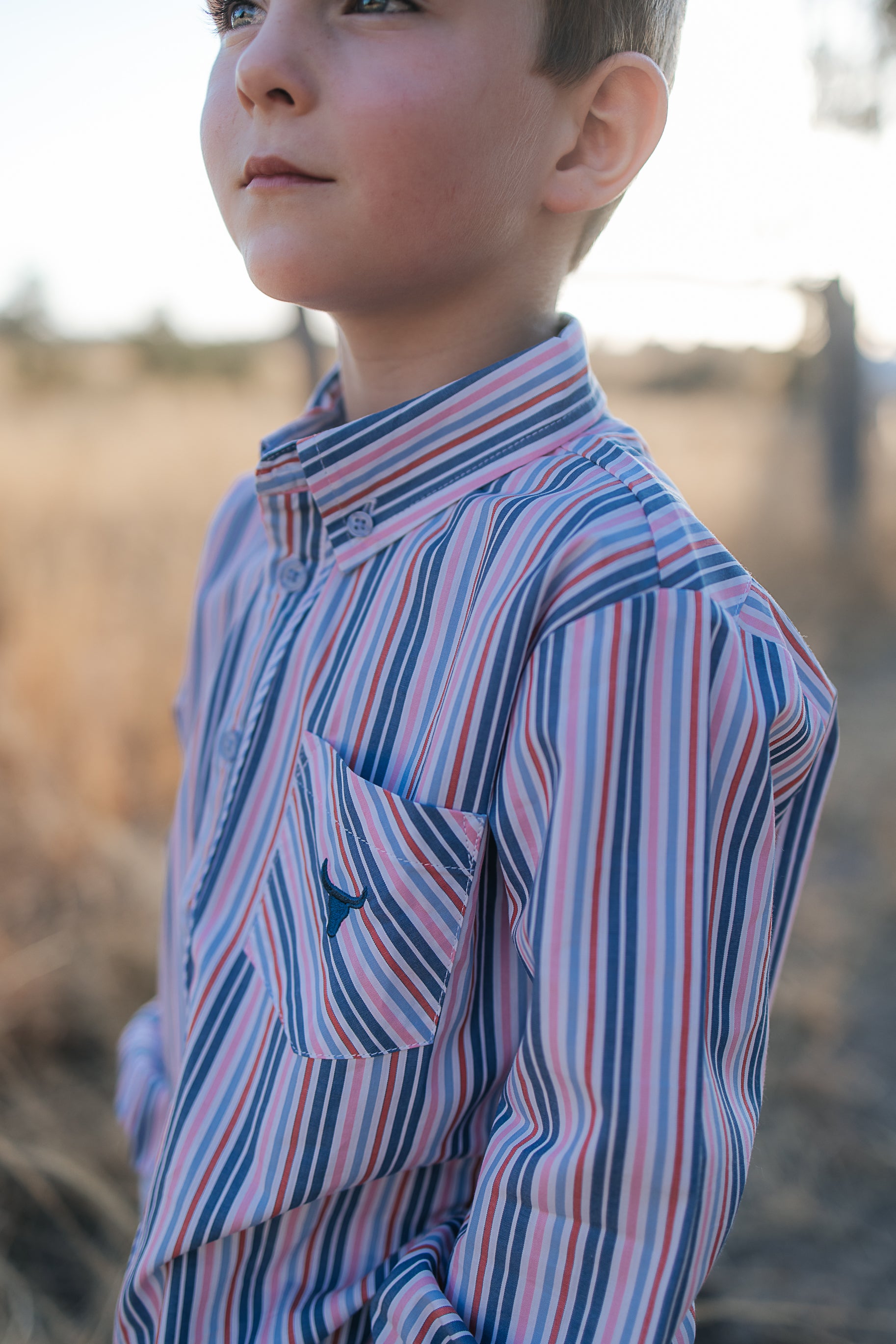 Ralph multi stripe blue long sleeve shirt collar detail showing neat collar and button placket