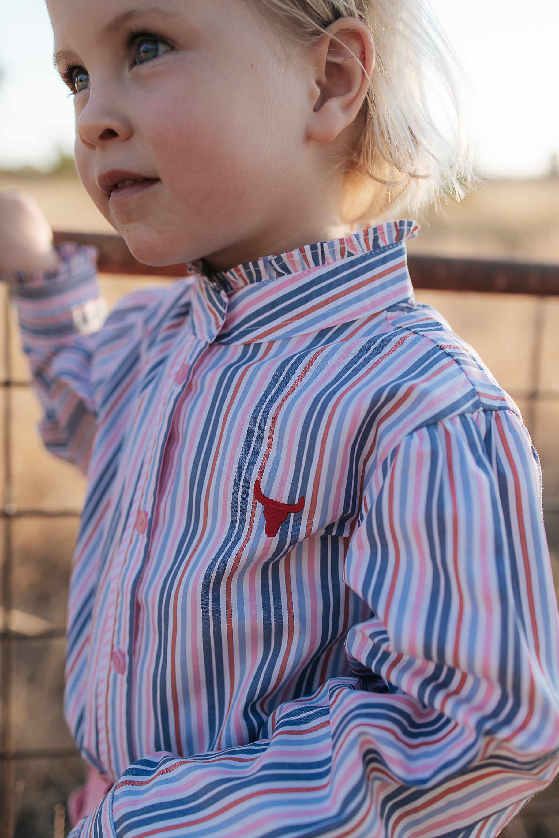 Lauren multi stripe pink ruffle long sleeve shirt collar detail showing neat collar and ruffle