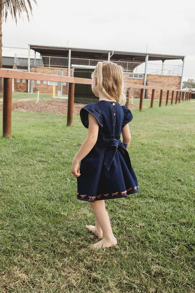 "Dekota" Dark Horse Denim Dress-Little Windmill Clothing Co