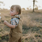 "Austin" Checked Tan Short Sleeve Shirt-Little Windmill Clothing Co