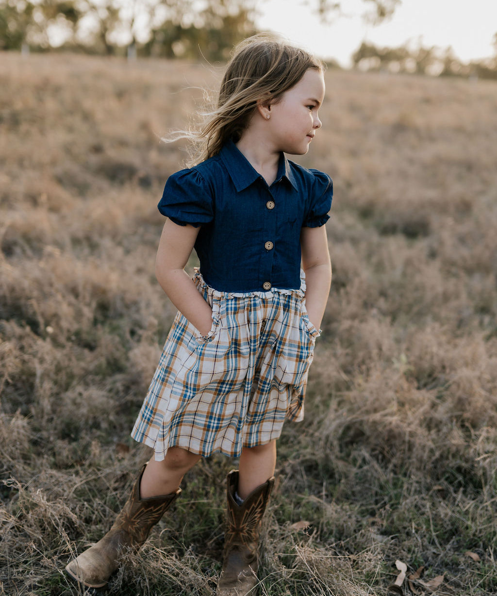 Georgia dark denim check swing dress collar detail showing neat neckline finish