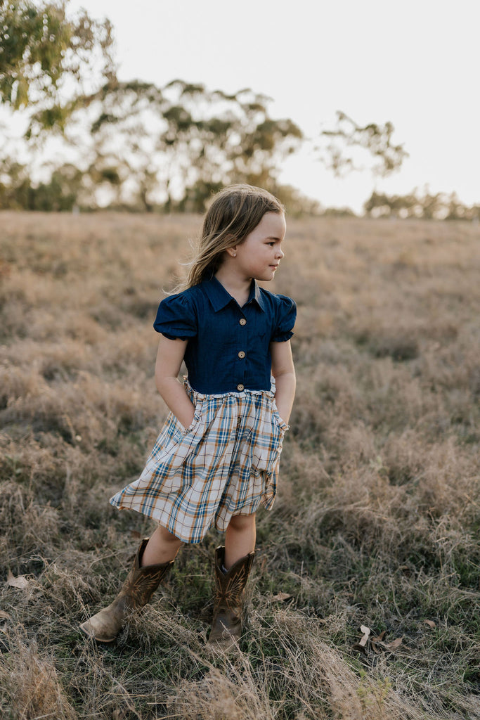 "Arizona" Dark Denim Check Swing Dress-Little Windmill Clothing Co