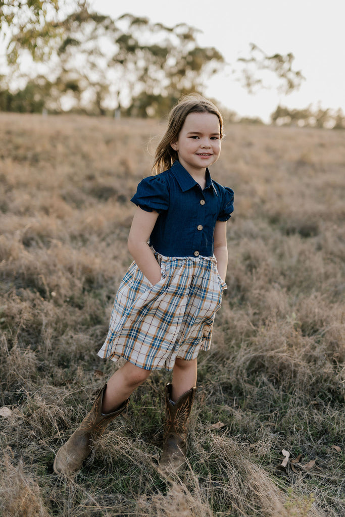 "Arizona" Dark Denim Check Swing Dress-Little Windmill Clothing Co