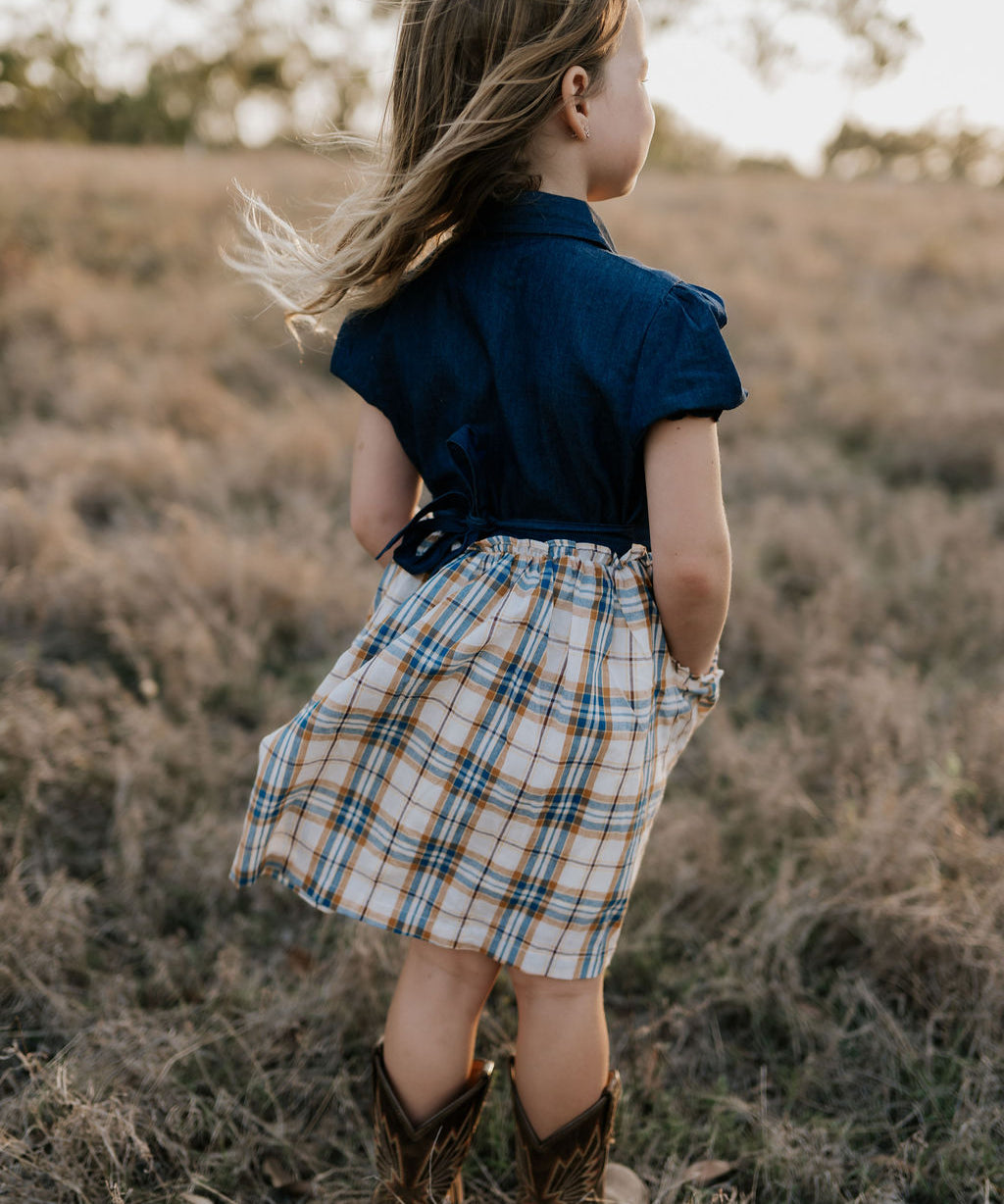 "Arizona" Dark Denim Check Swing Dress-Little Windmill Clothing Co