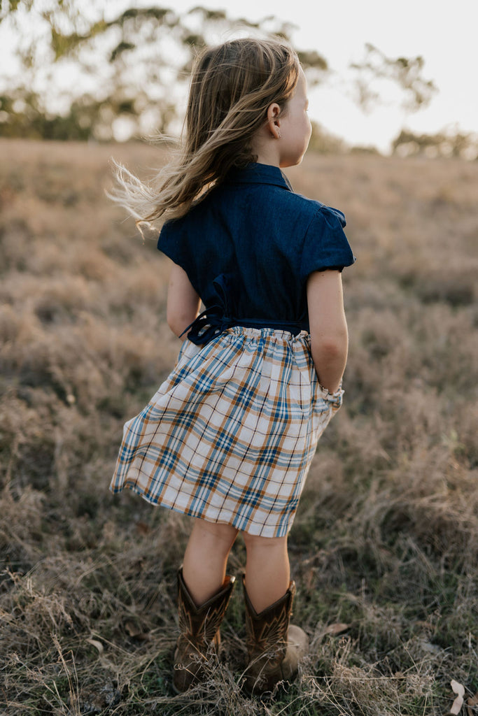 "Arizona" Dark Denim Check Swing Dress-Little Windmill Clothing Co