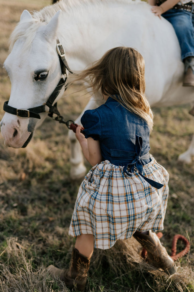 "Arizona" Dark Denim Check Swing Dress-Little Windmill Clothing Co