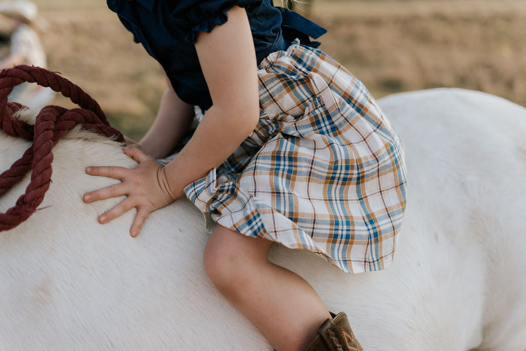 "Arizona" Dark Denim Check Swing Dress-Little Windmill Clothing Co