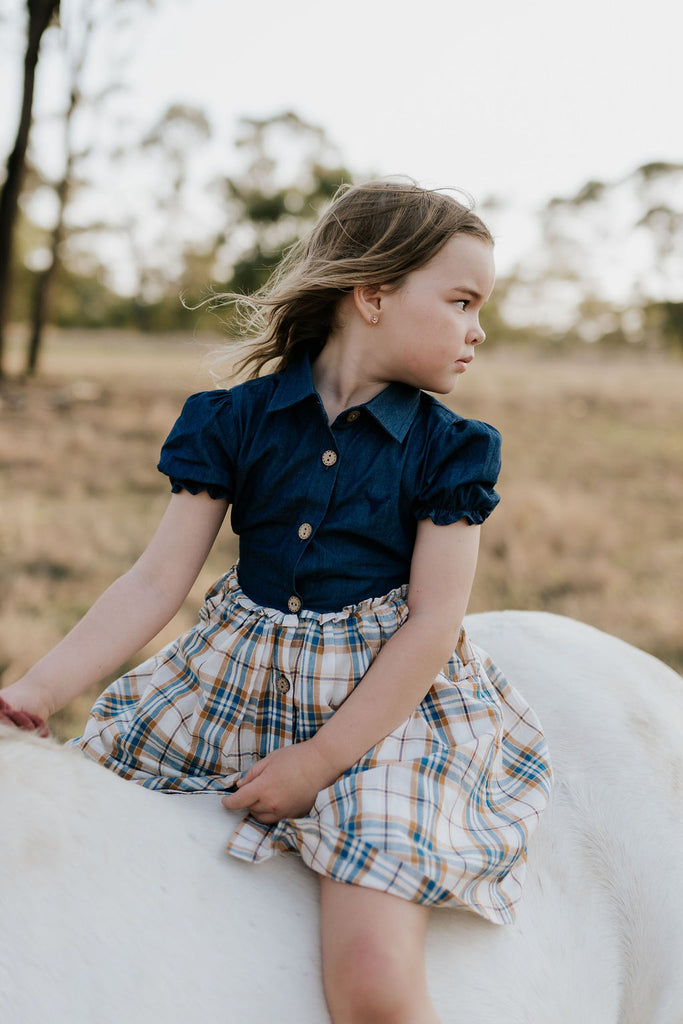 "Arizona" Dark Denim Check Swing Dress-Little Windmill Clothing Co