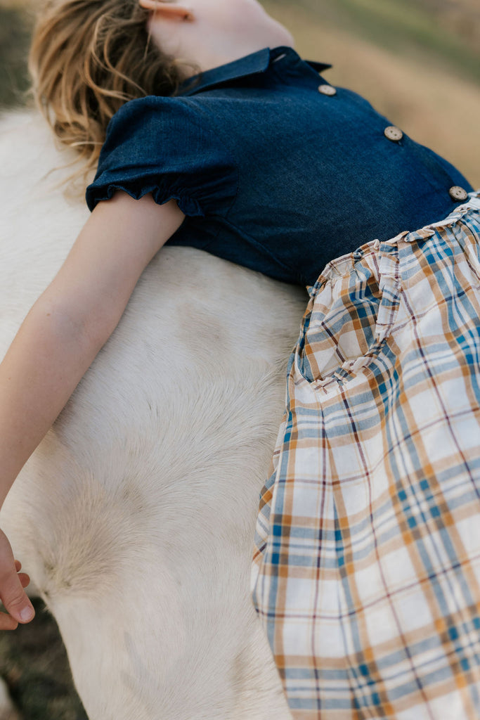 "Arizona" Dark Denim Check Swing Dress-Little Windmill Clothing Co