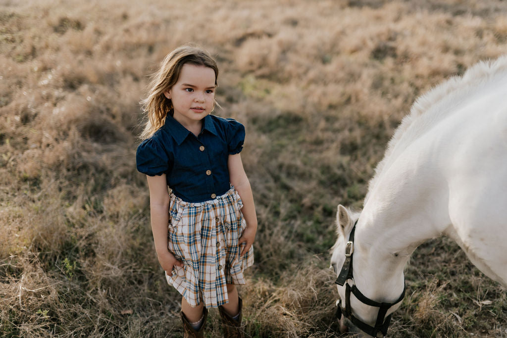"Arizona" Dark Denim Check Swing Dress-Little Windmill Clothing Co
