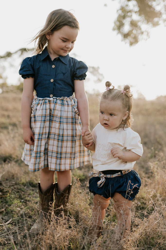 "Arizona" Dark Denim Check Swing Dress-Little Windmill Clothing Co