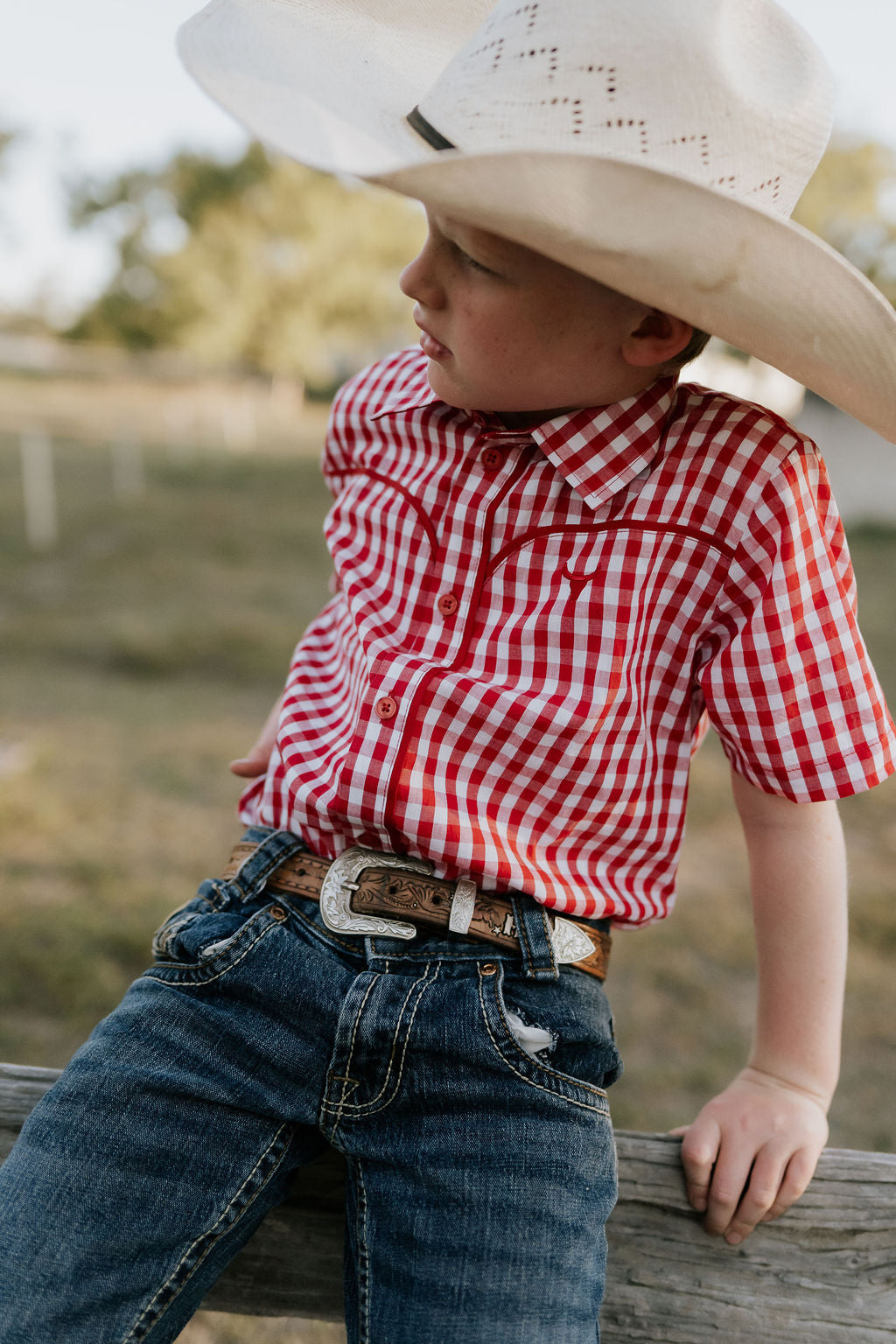 Albie deep red short sleeve shirt back view showing relaxed boys fit in rich deep red