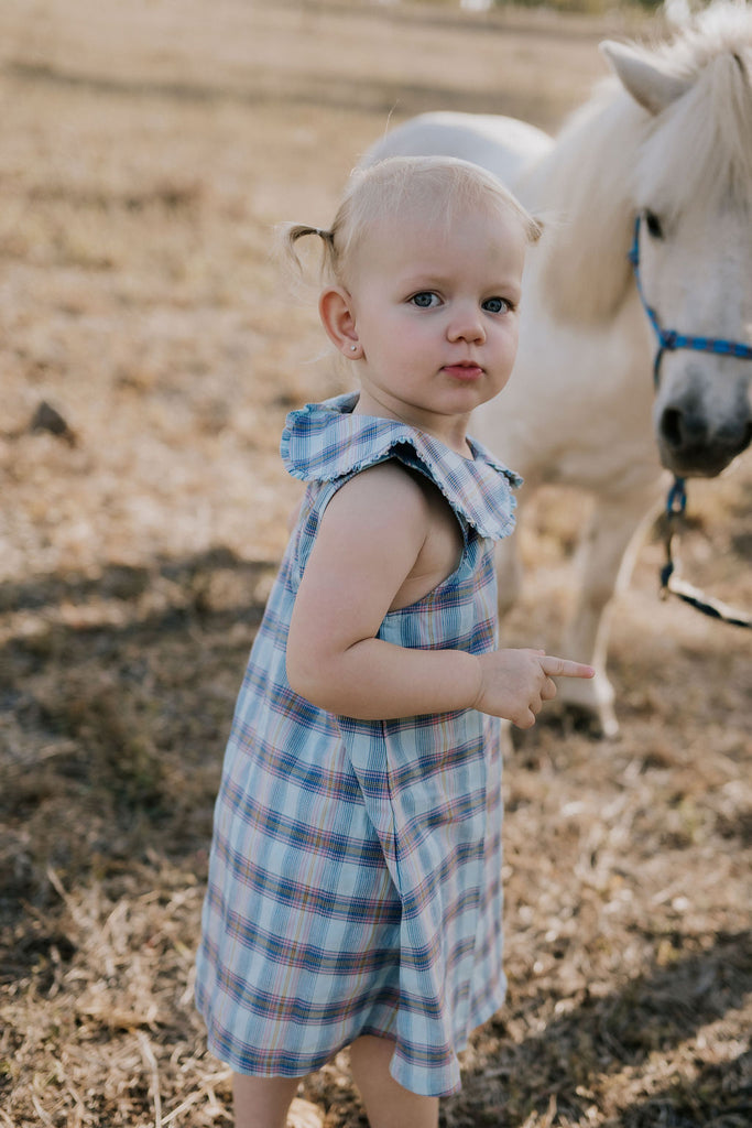 "Maddison" Country Checked Dress-Little Windmill Clothing Co