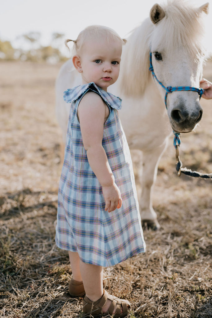 "Maddison" Country Checked Dress-Little Windmill Clothing Co