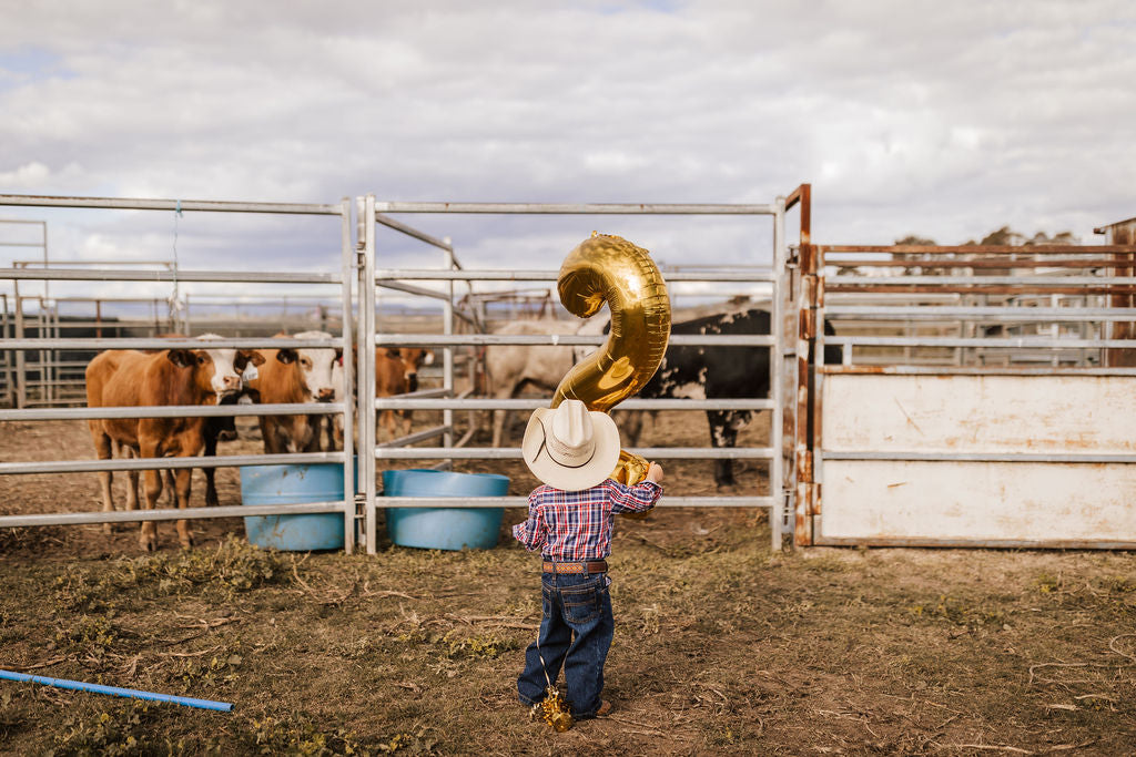 toddler cowboy holding gold number 2 balloon near cattle corral gift bundle ideas